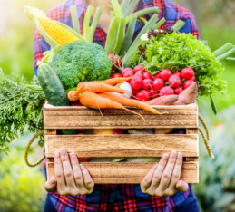 How to eat more vegetables and how to introduce more vegetables into your diet