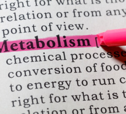 Metabolism 101: Introduction to Metabolism and Nutrition