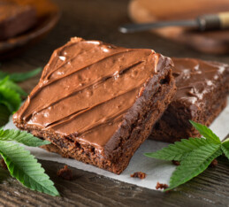 The Impact of Marijuana on Eating Patterns, Eating Disorders and Disordered Eating