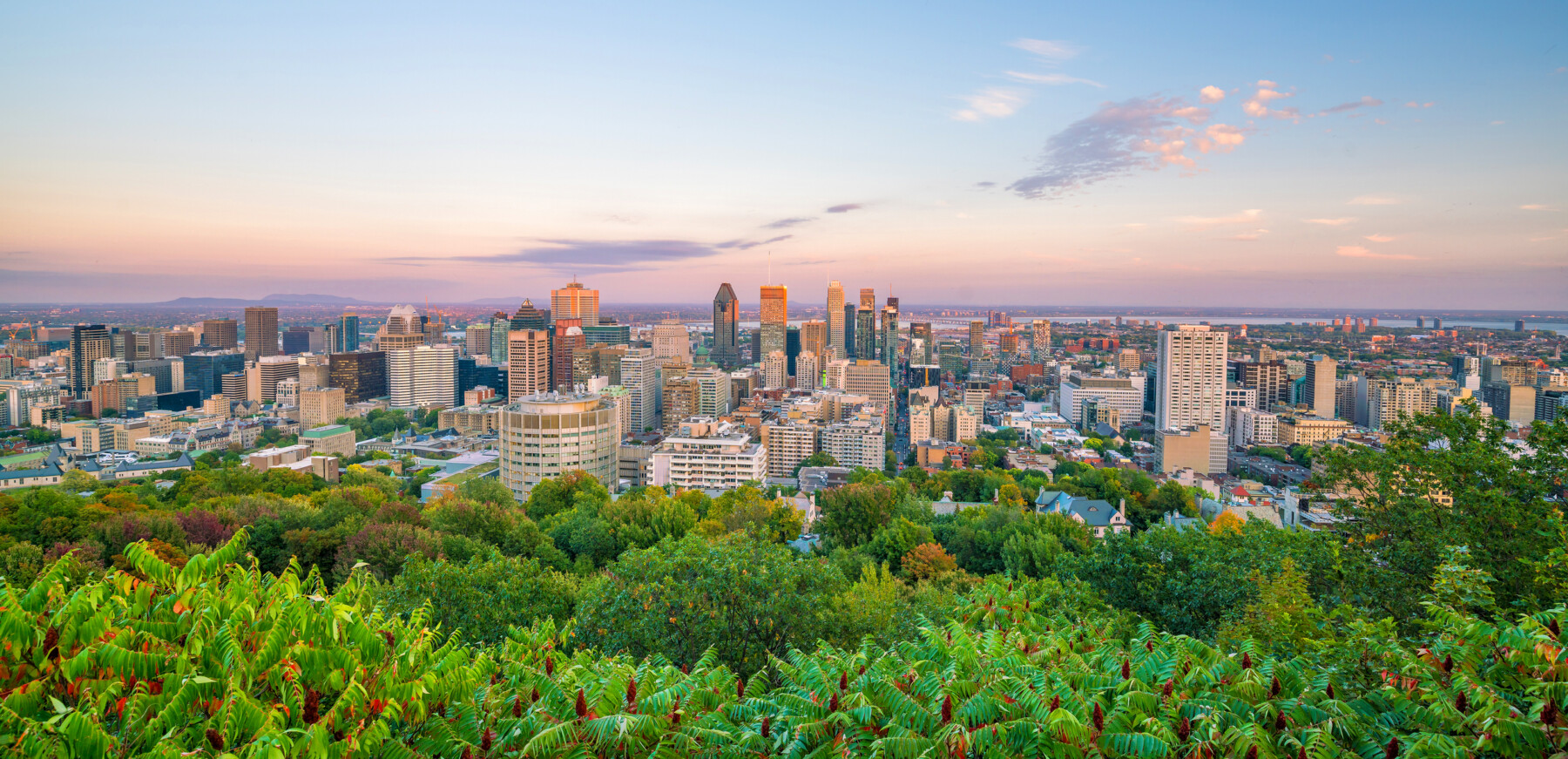 Registered Dietitian and Nutritionist Montreal JM Nutrition